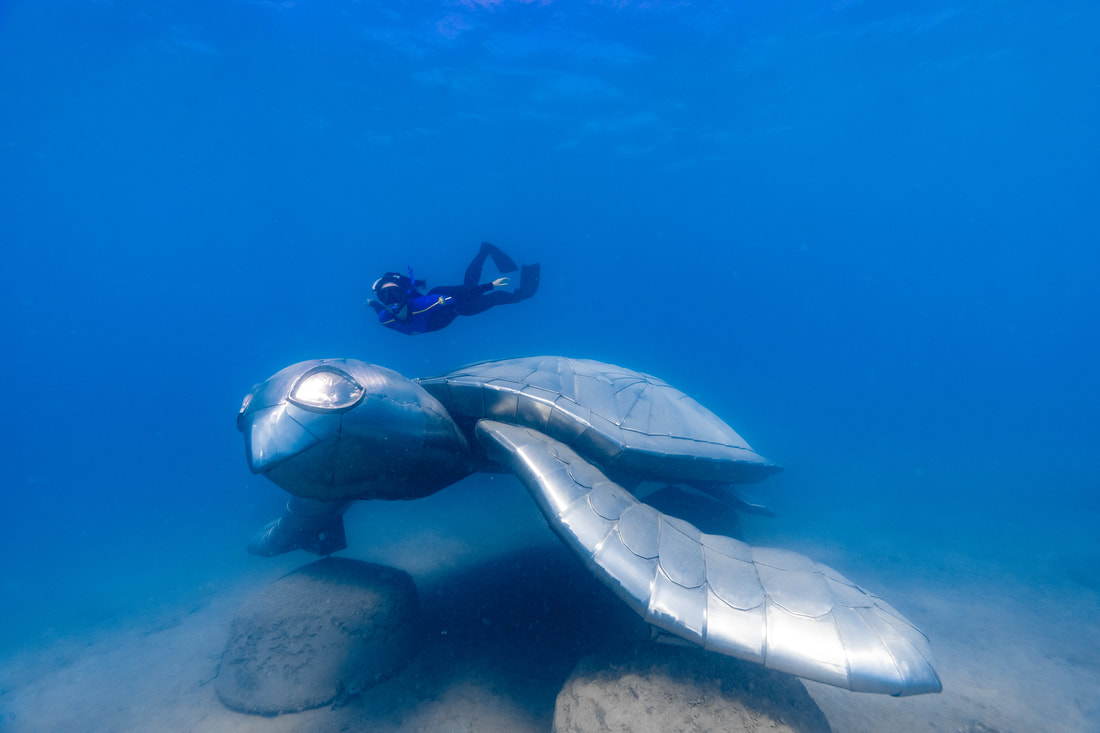 Underwater Sculptures Whitsunday Islands